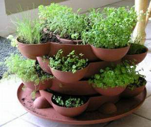 Indoor Herb Garden on Indoor Herb Garden