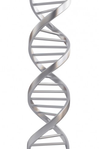 strand of DNA